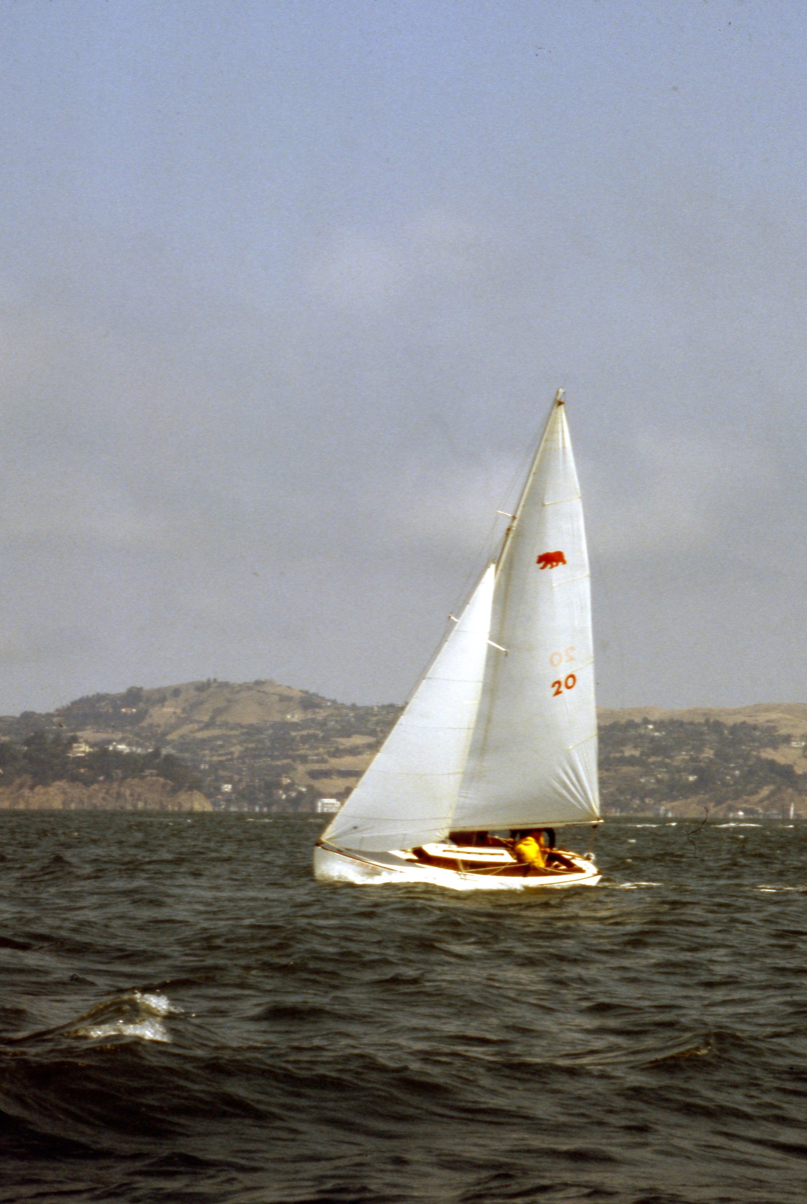 Trigger sailing on San Francisco Bay with Marin hills in background